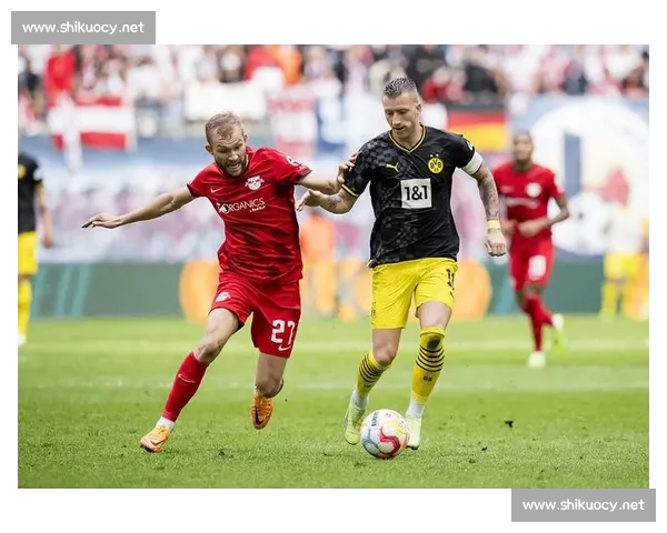 专业足球比赛分析网站助你洞察数据预测赛果趋势提升决策胜率体验 专业足球比赛分析网站助你洞察数据预测赛果趋势提升决策胜率体验