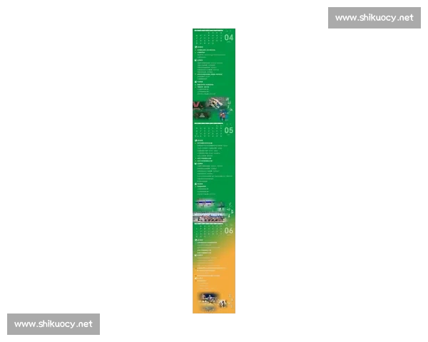 2026年体育赛事精彩纷呈 各大赛事倒计时开启全新挑战